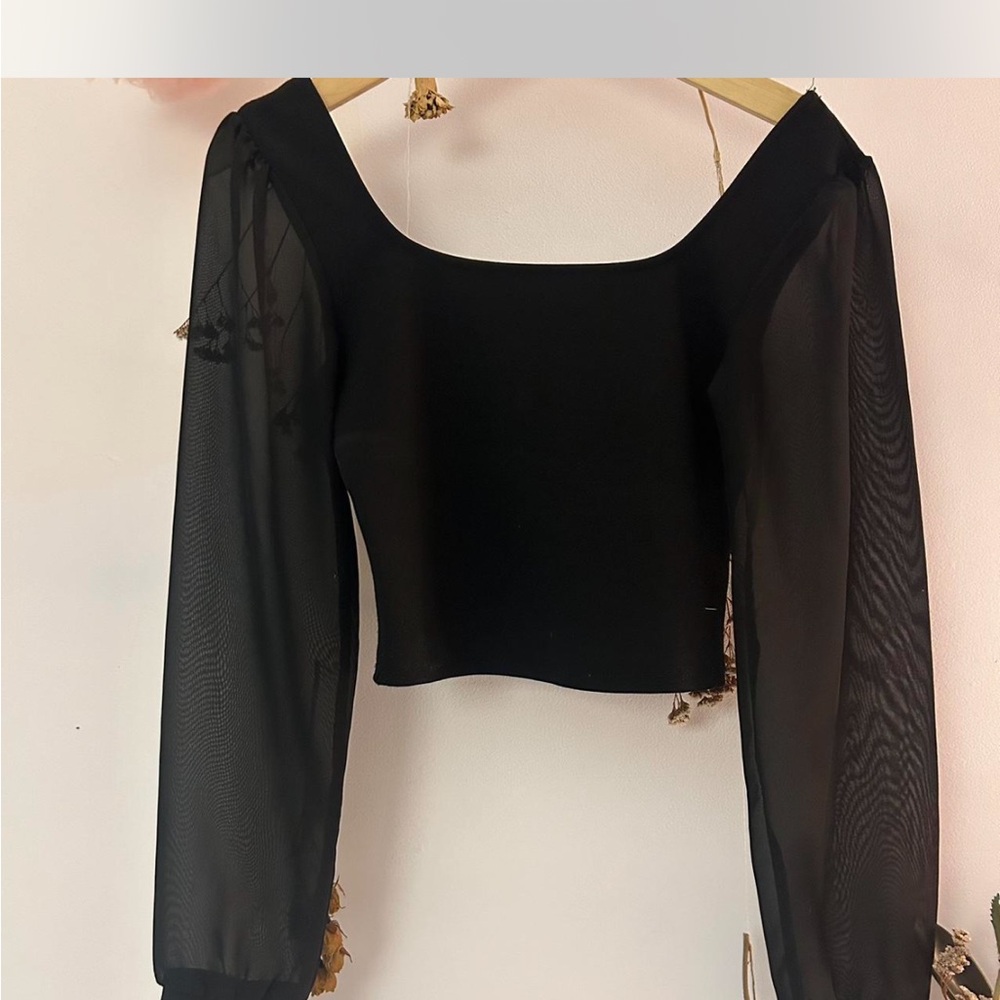 Elegant Black Sheer Sleeve Top